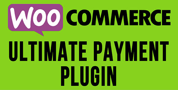 WooCommerce Ultimate Payment Plugin für Bluepay-, NMI- und Braintree-Zahlungen